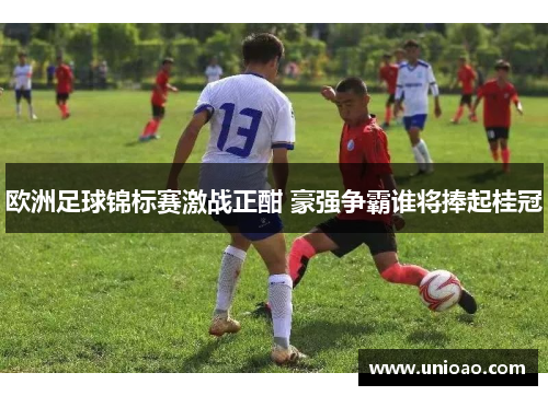 欧洲足球锦标赛激战正酣 豪强争霸谁将捧起桂冠